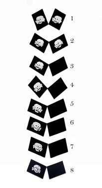 Waffen SS Totenkopf collar tabs 